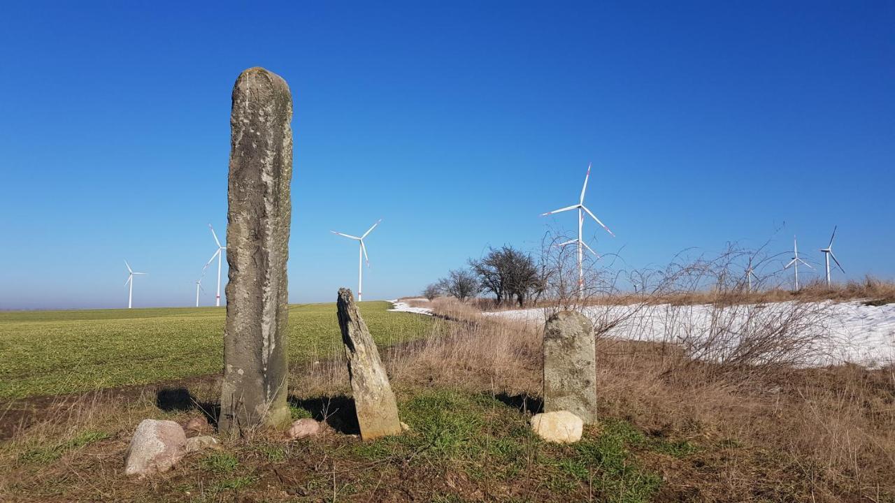Zimmervermietung Zahn Baalberge Zewnętrze zdjęcie