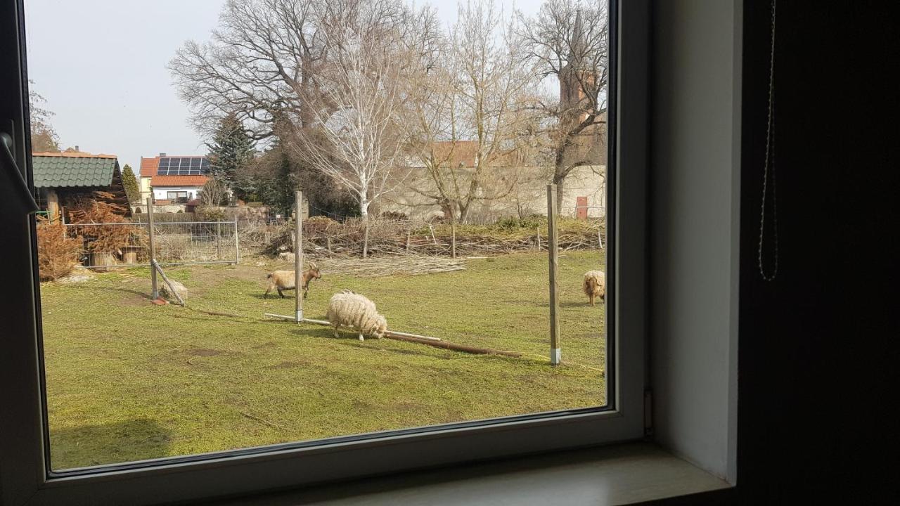 Zimmervermietung Zahn Baalberge Zewnętrze zdjęcie